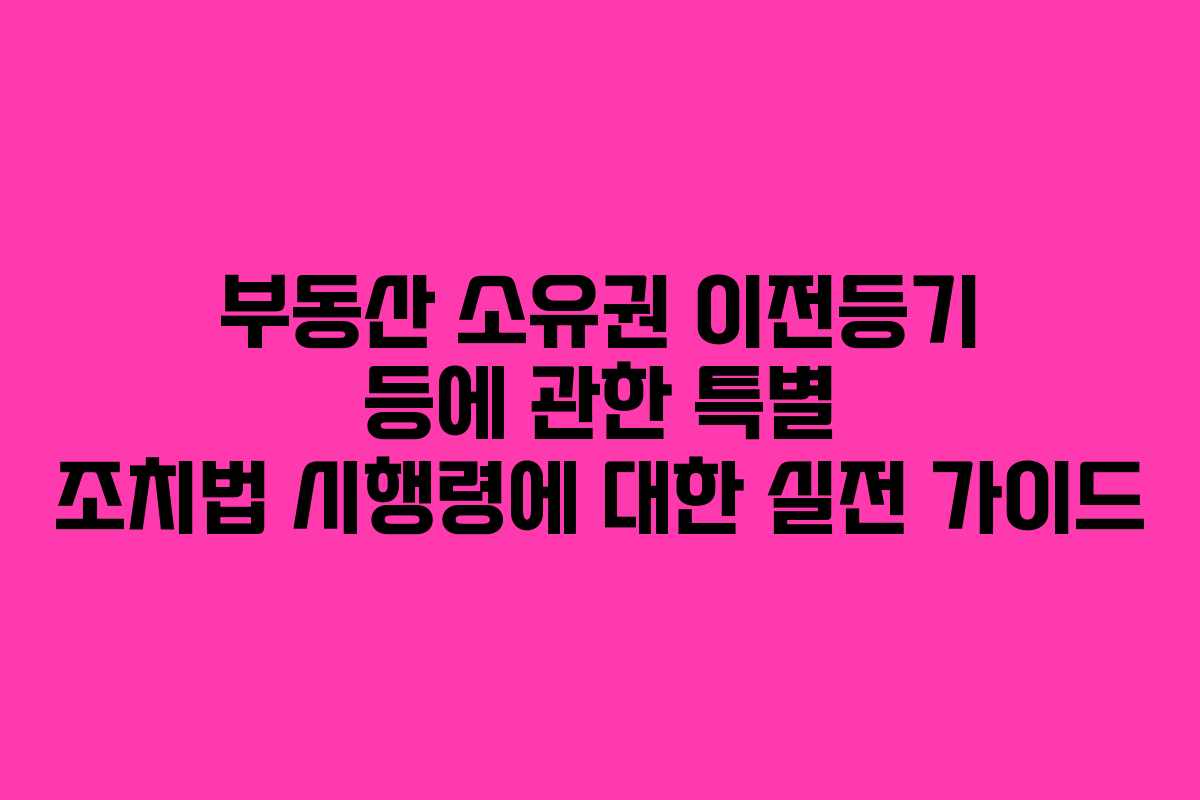 부동산 소유권 이전등기 등에 관한 특별 조치법 시행령에 대한 실전 가이드