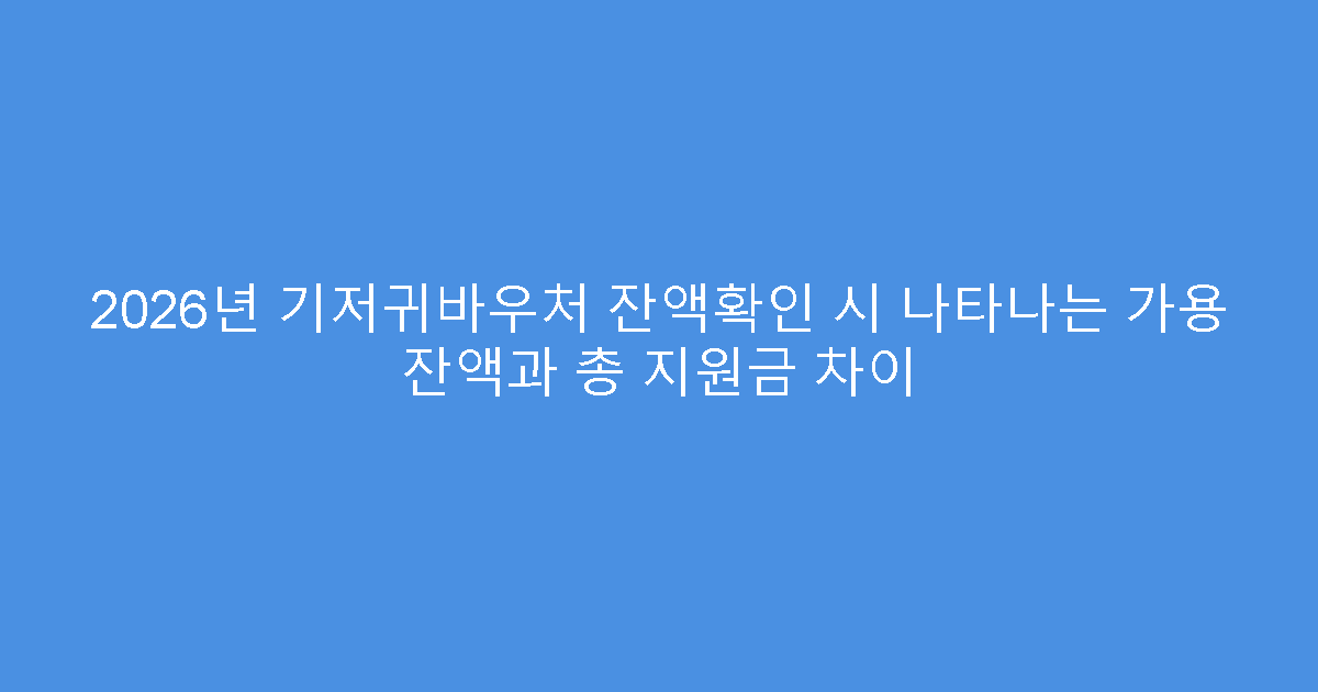 2026년 기저귀바우처 잔액확인 시 나타나는 가용 잔액과 총 지원금 차이
