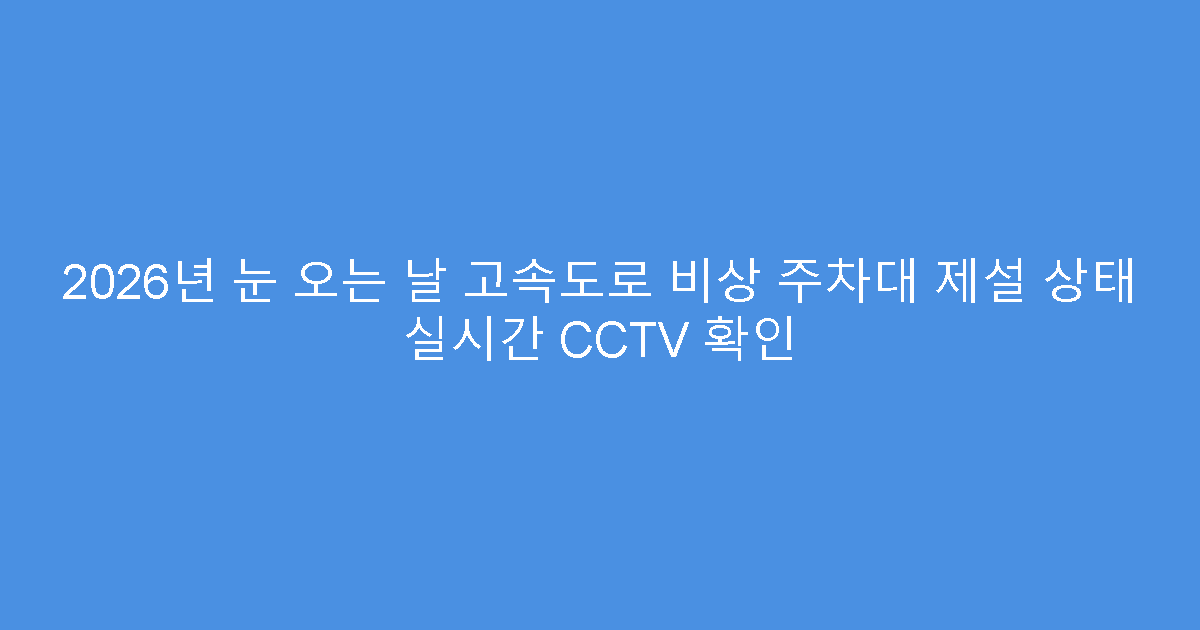 2026년 눈 오는 날 고속도로 비상 주차대 제설 상태 실시간 CCTV 확인