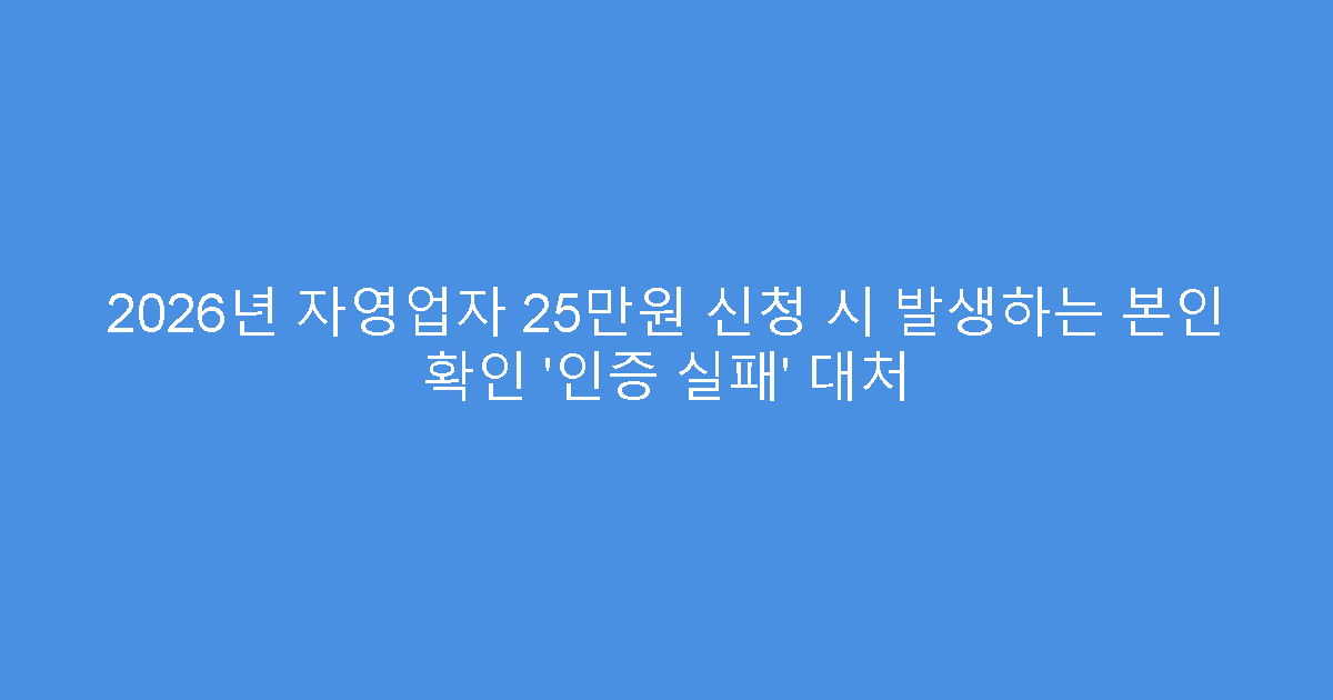 2026년 자영업자 25만원 신청 시 발생하는 본인 확인 ‘인증 실패’ 대처