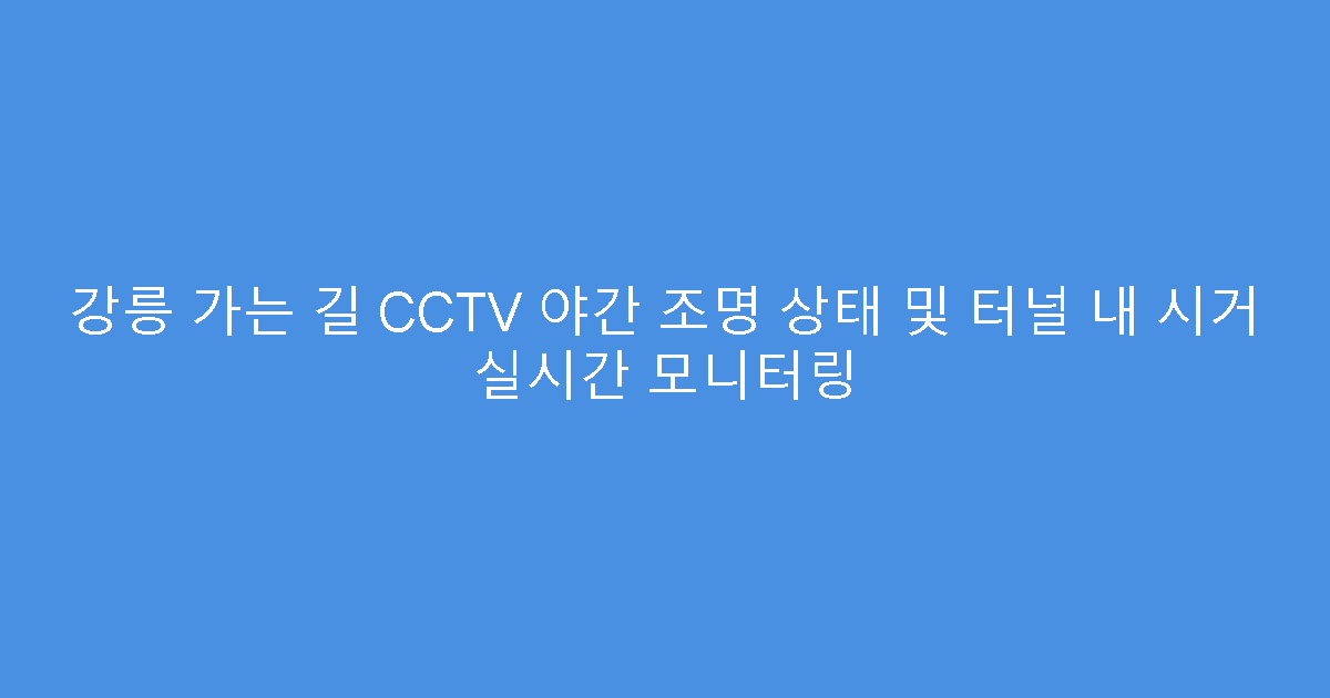 강릉 가는 길 CCTV 야간 조명 상태 및 터널 내 시거 실시간 모니터링