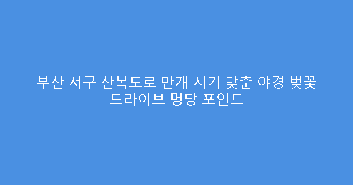 부산 서구 산복도로 만개 시기 맞춘 야경 벚꽃 드라이브 명당 포인트
