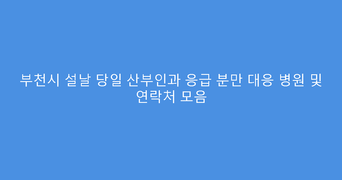 부천시 설날 당일 산부인과 응급 분만 대응 병원 및 연락처 모음