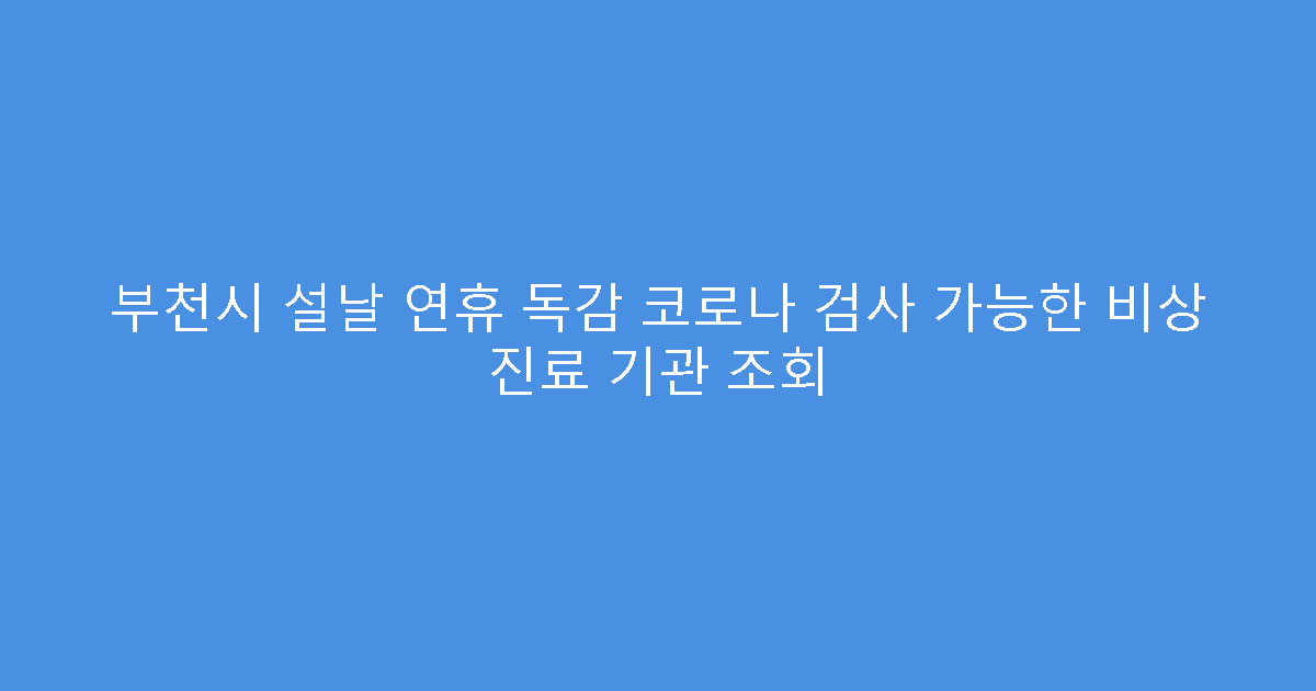 부천시 설날 연휴 독감 코로나 검사 가능한 비상 진료 기관 조회