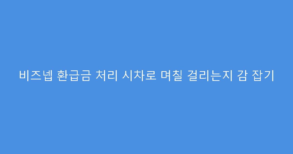 비즈넵 환급금 처리 시차로 며칠 걸리는지 감 잡기