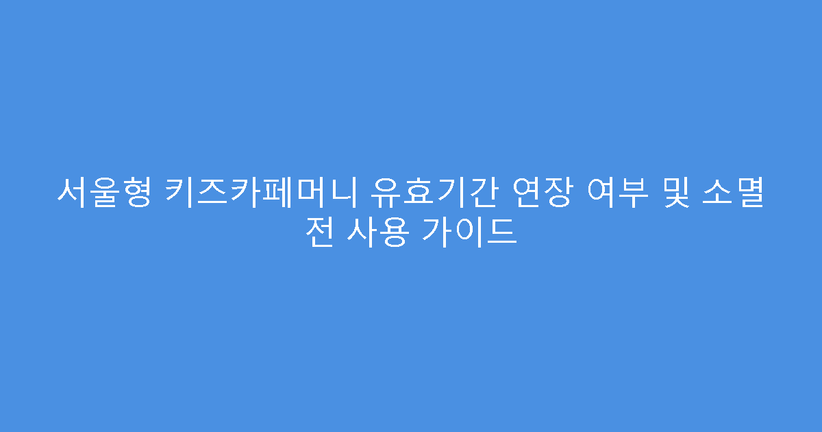 서울형 키즈카페머니 유효기간 연장 여부 및 소멸 전 사용 가이드