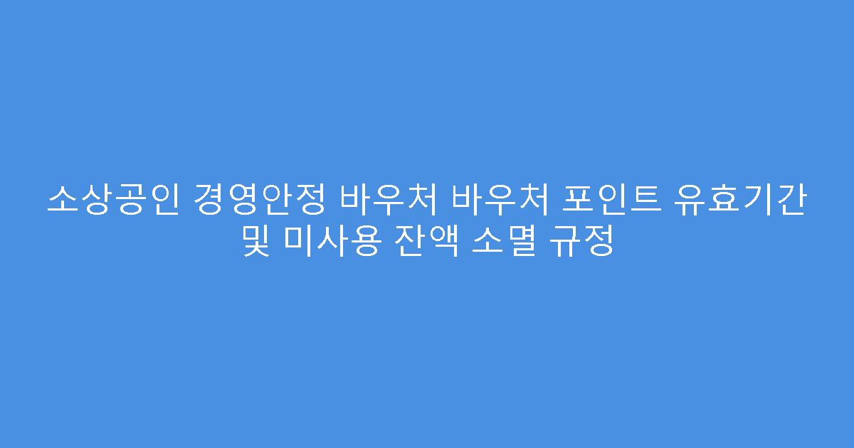 소상공인 경영안정 바우처 바우처 포인트 유효기간 및 미사용 잔액 소멸 규정