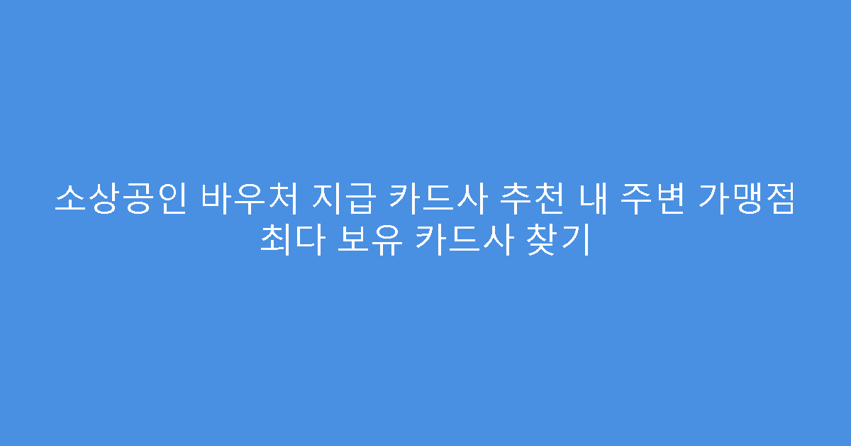 소상공인 바우처 지급 카드사 추천 내 주변 가맹점 최다 보유 카드사 찾기