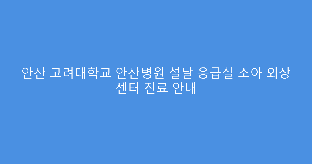 안산 고려대학교 안산병원 설날 응급실 소아 외상 센터 진료 안내
