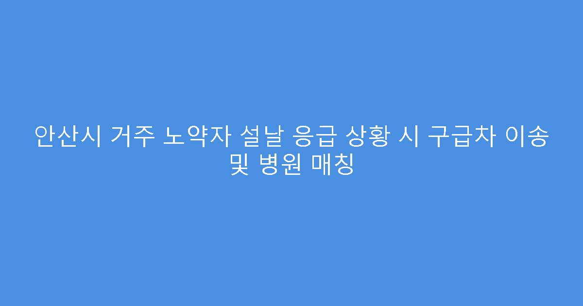 안산시 거주 노약자 설날 응급 상황 시 구급차 이송 및 병원 매칭