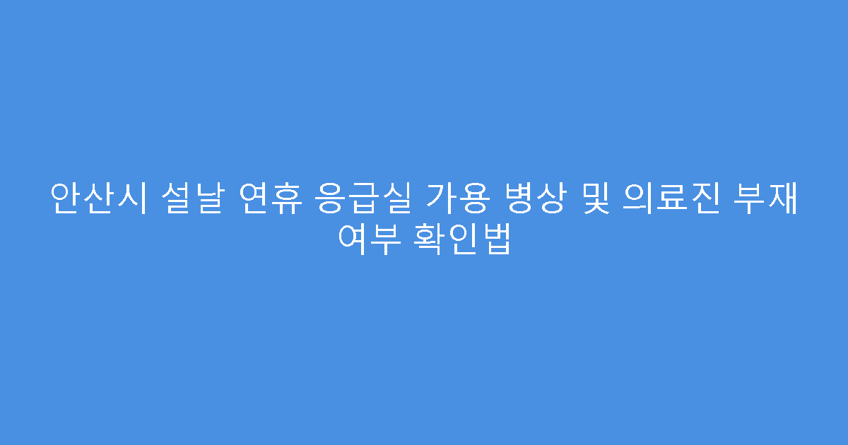 안산시 설날 연휴 응급실 가용 병상 및 의료진 부재 여부 확인법