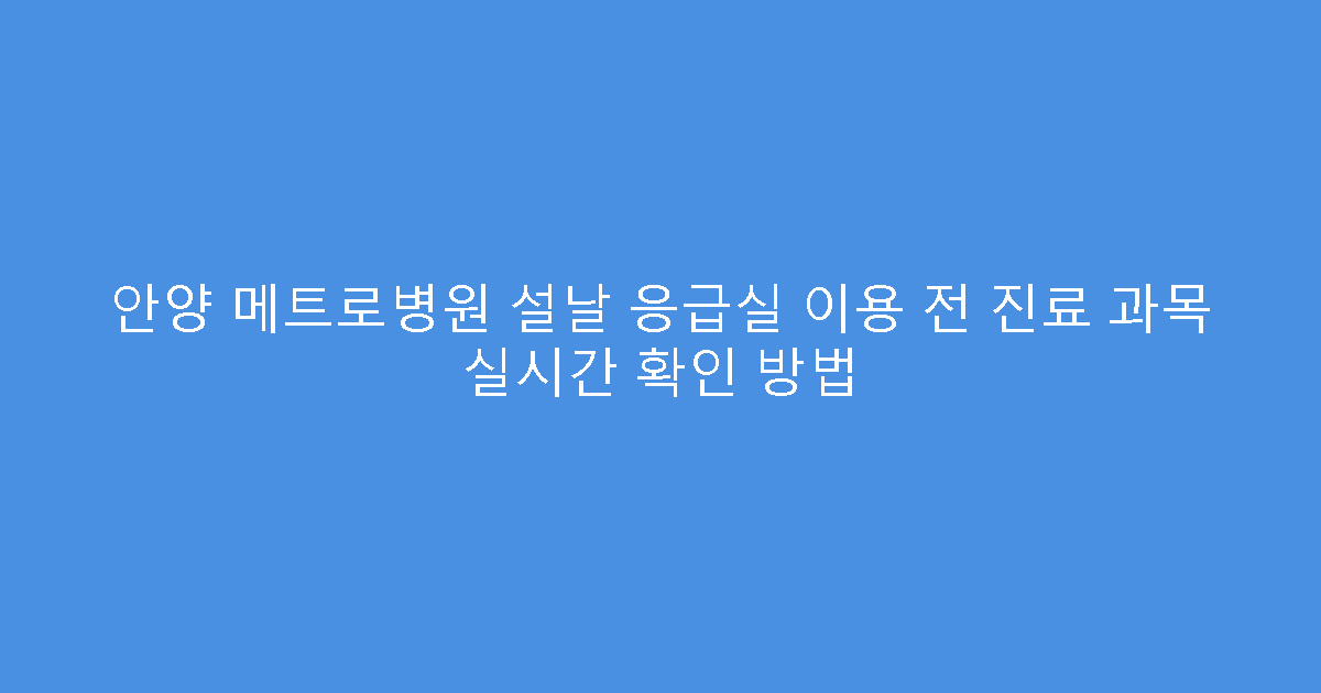 안양 메트로병원 설날 응급실 이용 전 진료 과목 실시간 확인 방법
