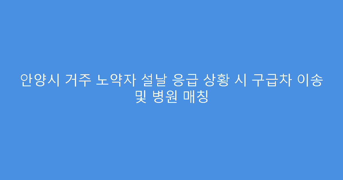안양시 거주 노약자 설날 응급 상황 시 구급차 이송 및 병원 매칭