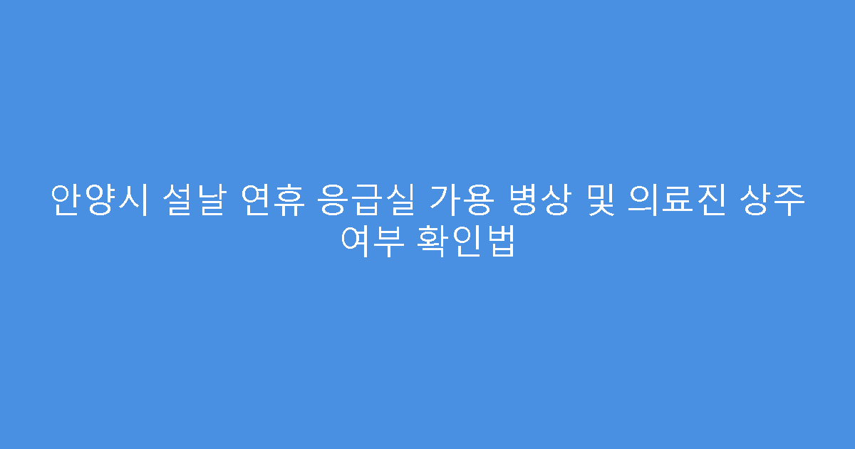 안양시 설날 연휴 응급실 가용 병상 및 의료진 상주 여부 확인법