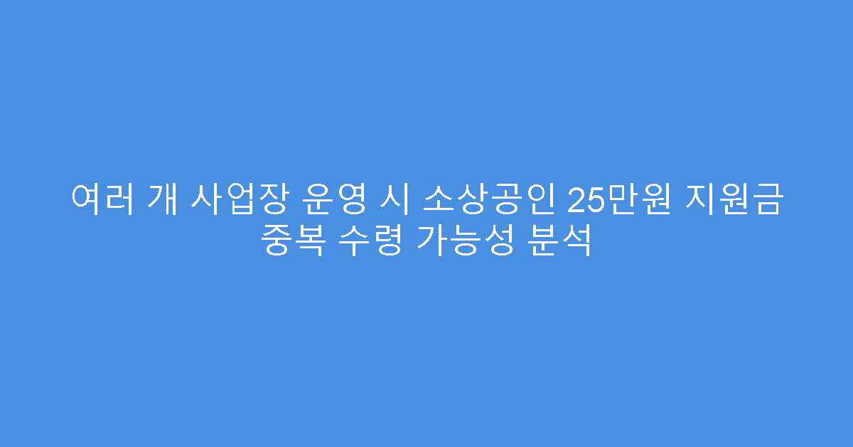 여러 개 사업장 운영 시 소상공인 25만원 지원금 중복 수령 가능성 분석