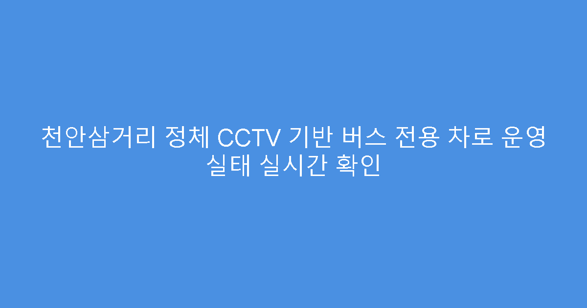 천안삼거리 정체 CCTV 기반 버스 전용 차로 운영 실태 실시간 확인