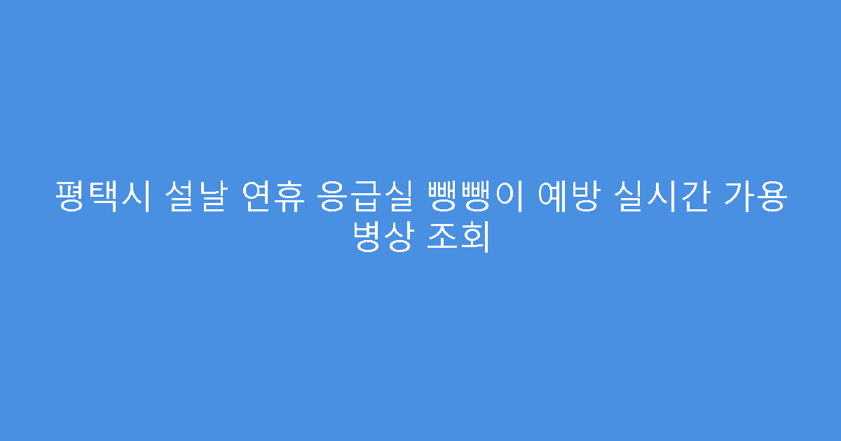 평택시 설날 연휴 응급실 뺑뺑이 예방 실시간 가용 병상 조회