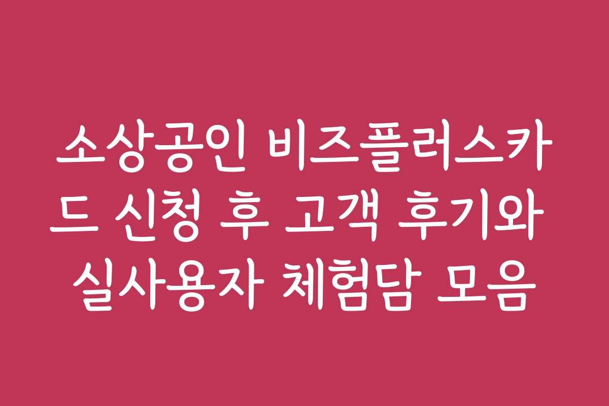 소상공인 비즈플러스카드 신청 후 고객 후기와 실사용자 체험담 모음