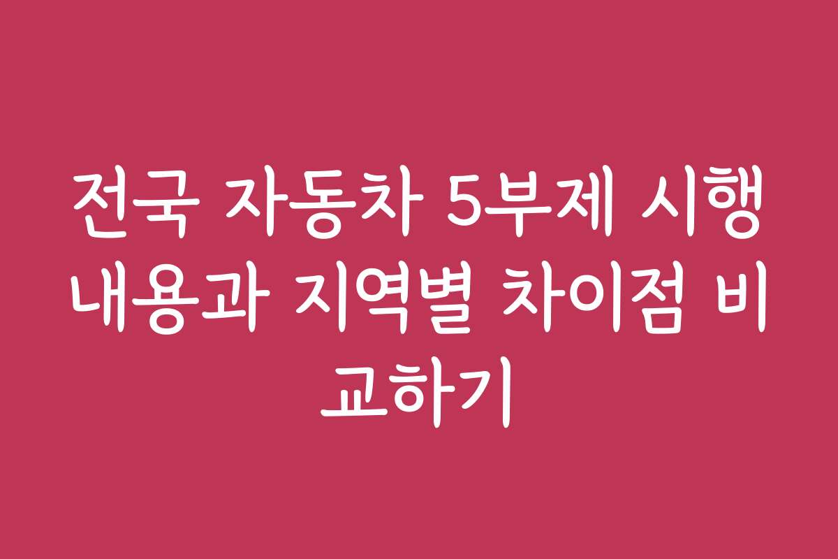 전국 자동차 5부제 시행내용과 지역별 차이점 비교하기
