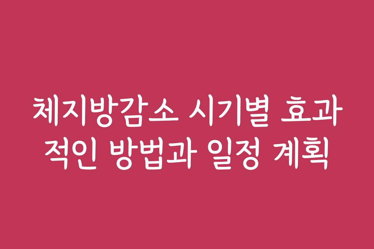 체지방감소 시기별 효과적인 방법과 일정 계획