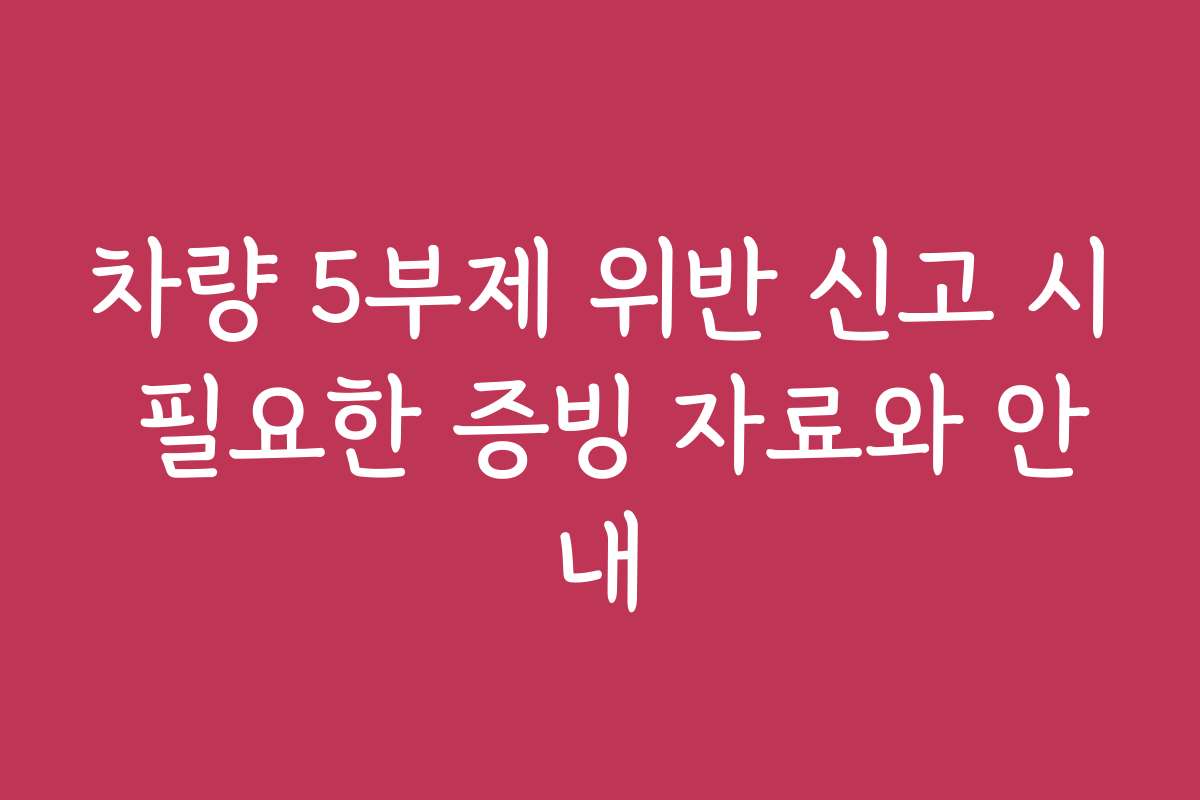 차량 5부제 위반 신고 시 필요한 증빙 자료와 안내