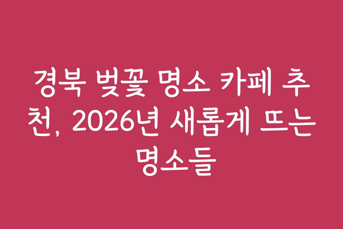 경북 벚꽃 명소 카페 추천, 2026년 새롭게 뜨는 명소들