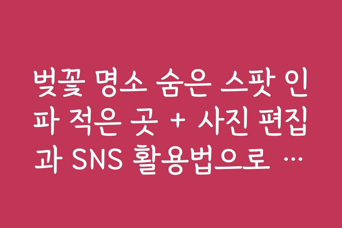 벚꽃 명소 숨은 스팟 인파 적은 곳 + 사진 편집과 SNS 활용법으로 특별한 추억 남기기