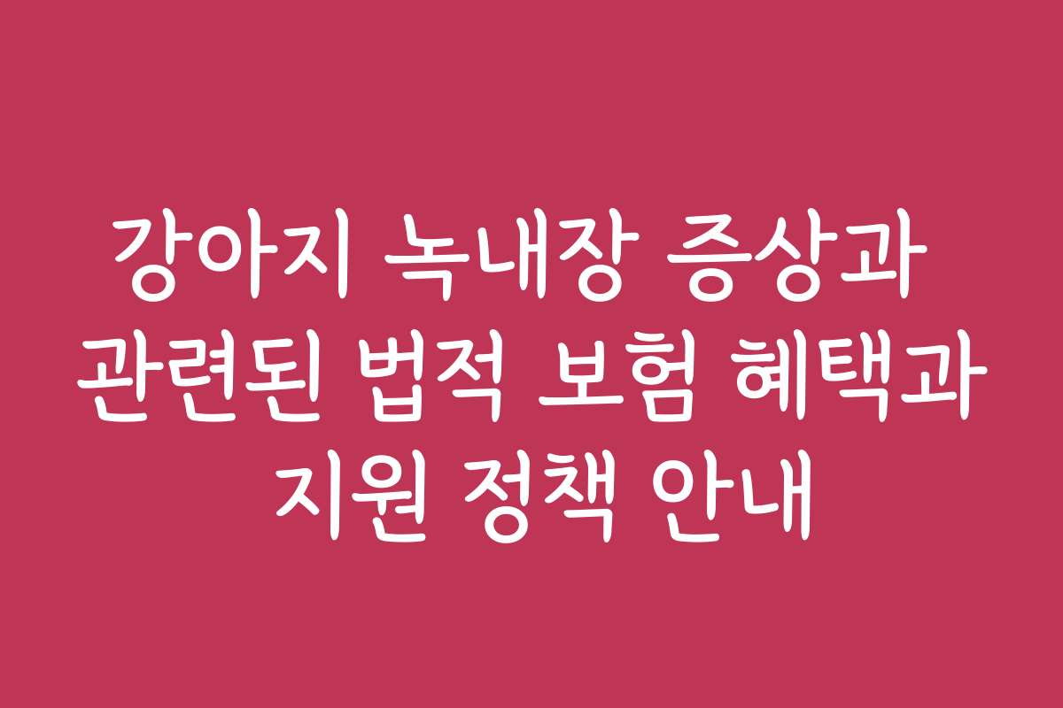 강아지 녹내장 증상과 관련된 법적 보험 혜택과 지원 정책 안내
