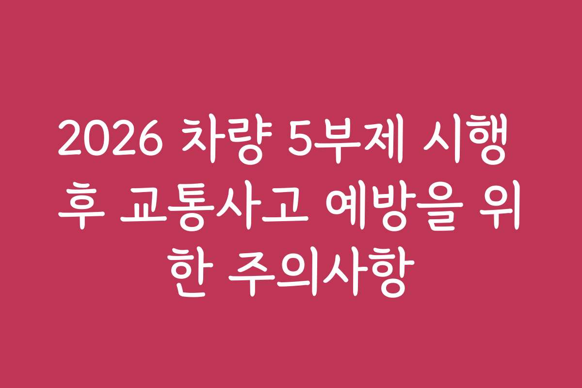 2026 차량 5부제 시행 후 교통사고 예방을 위한 주의사항