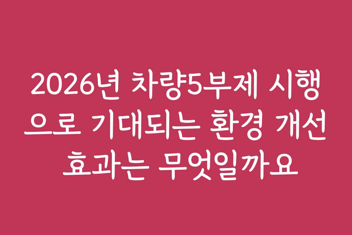 2026년 차량5부제 시행으로 기대되는 환경 개선 효과는 무엇일까요