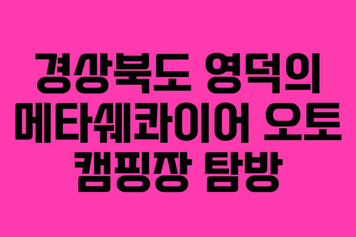 경상북도 영덕의 메타쉐콰이어 오토 캠핑장 탐방