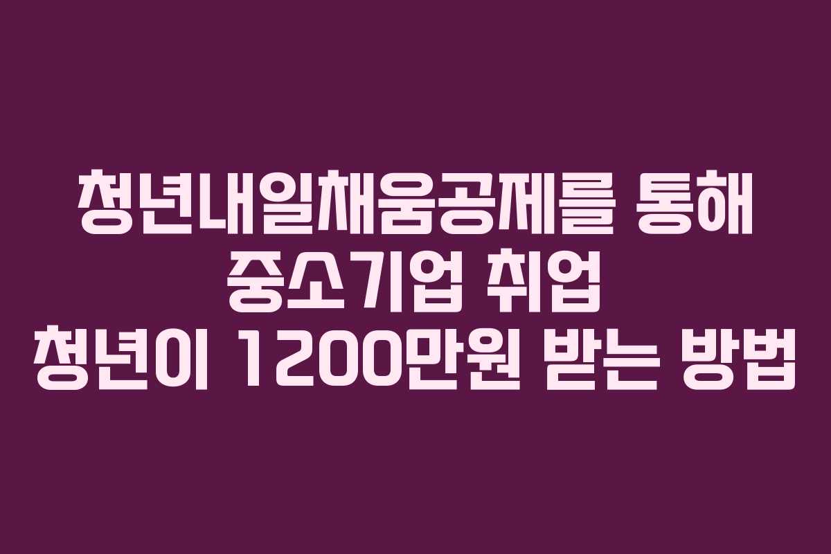 청년내일채움공제를 통해 중소기업 취업 청년이 1200만원 받는 방법