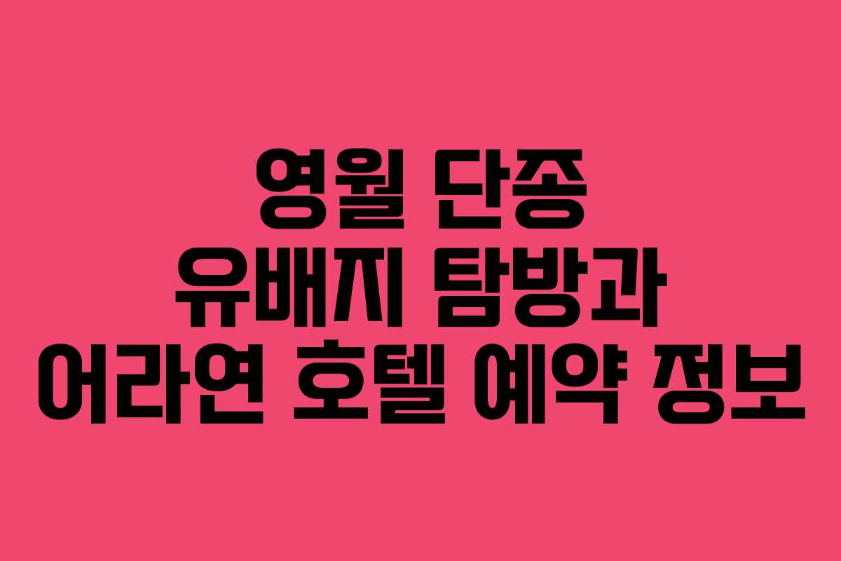 영월 단종 유배지 탐방과 어라연 호텔 예약 정보