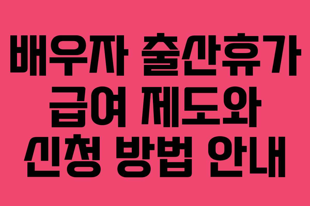 배우자 출산휴가 급여 제도와 신청 방법 안내