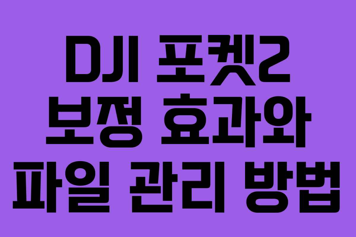 DJI 포켓2 보정 효과와 파일 관리 방법