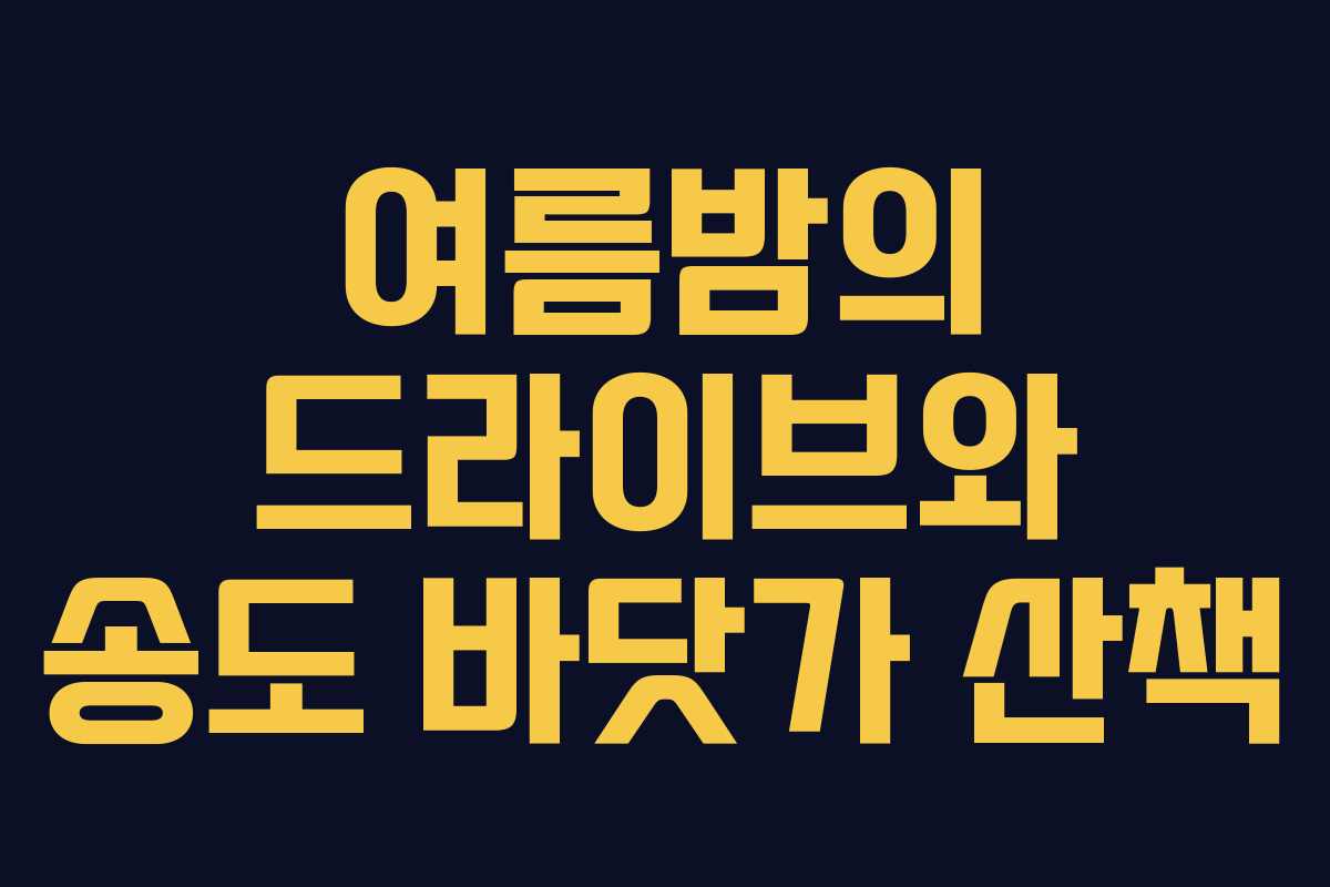 여름밤의 드라이브와 송도 바닷가 산책