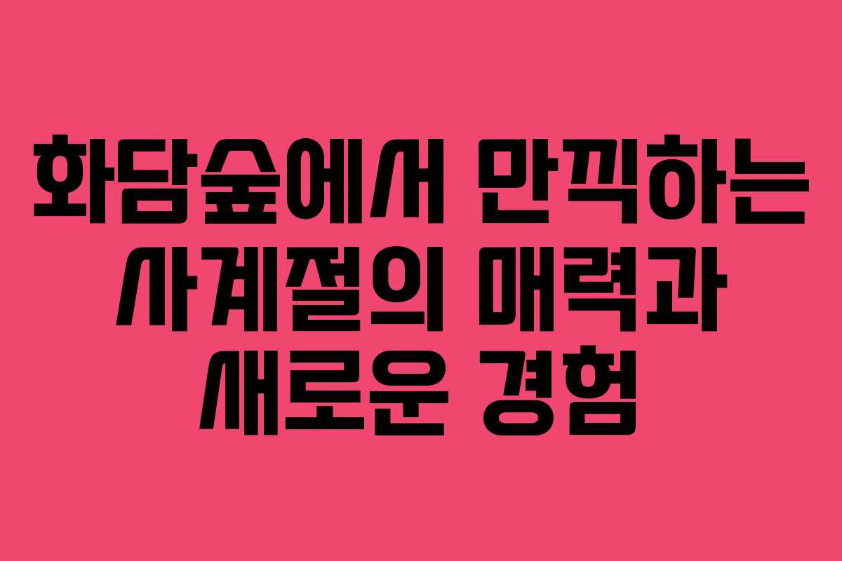 화담숲에서 만끽하는 사계절의 매력과 새로운 경험
