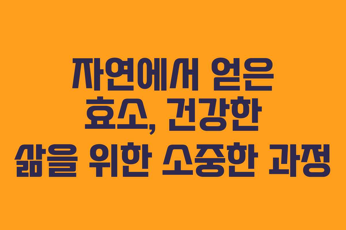 자연에서 얻은 효소, 건강한 삶을 위한 소중한 과정
