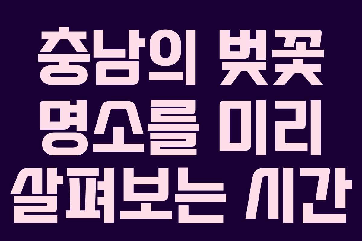 충남의 벚꽃 명소를 미리 살펴보는 시간