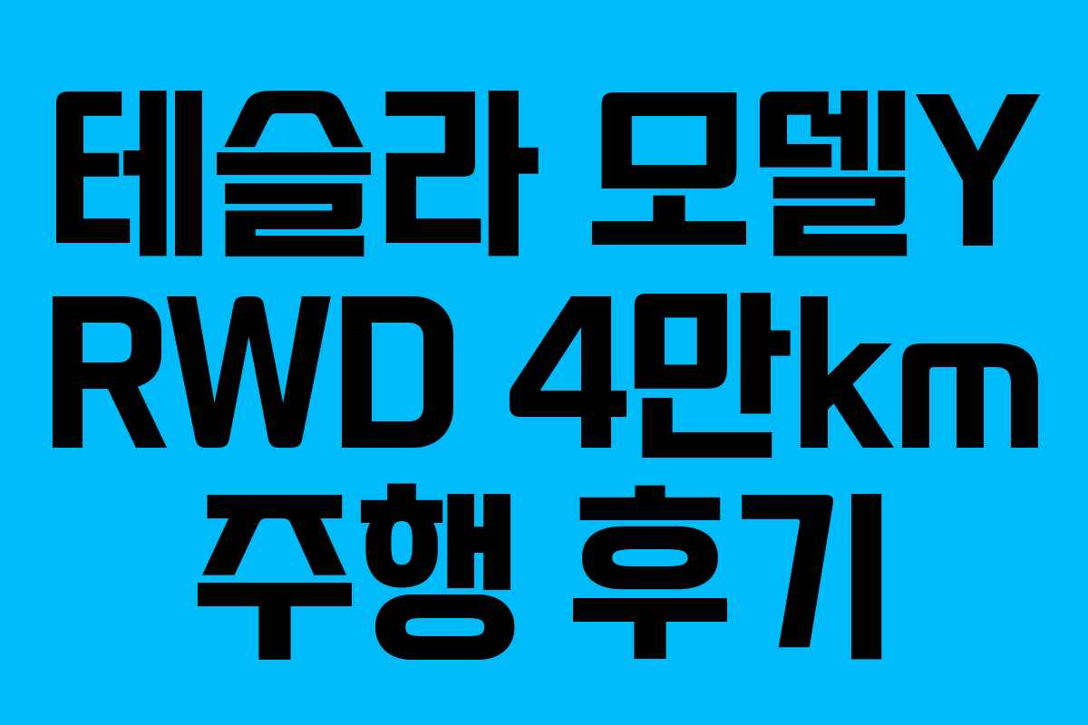 테슬라 모델Y RWD 4만km 주행 후기