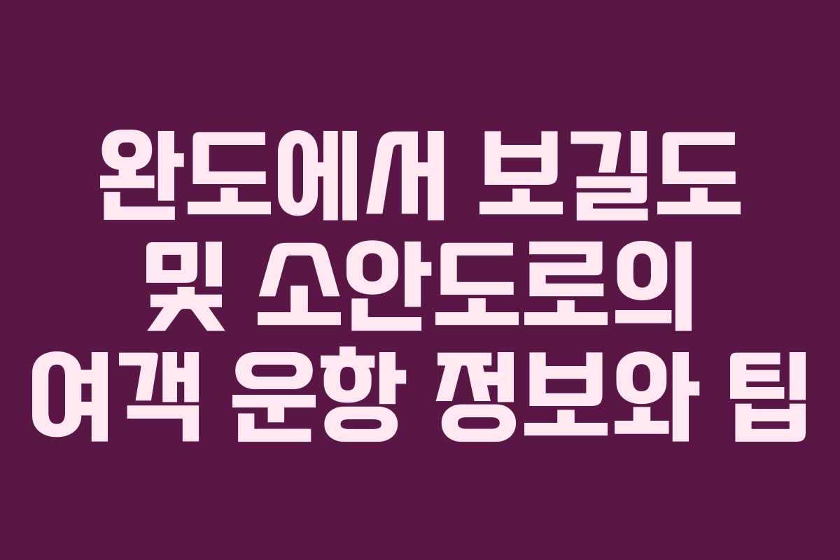 완도에서 보길도 및 소안도로의 여객 운항 정보와 팁