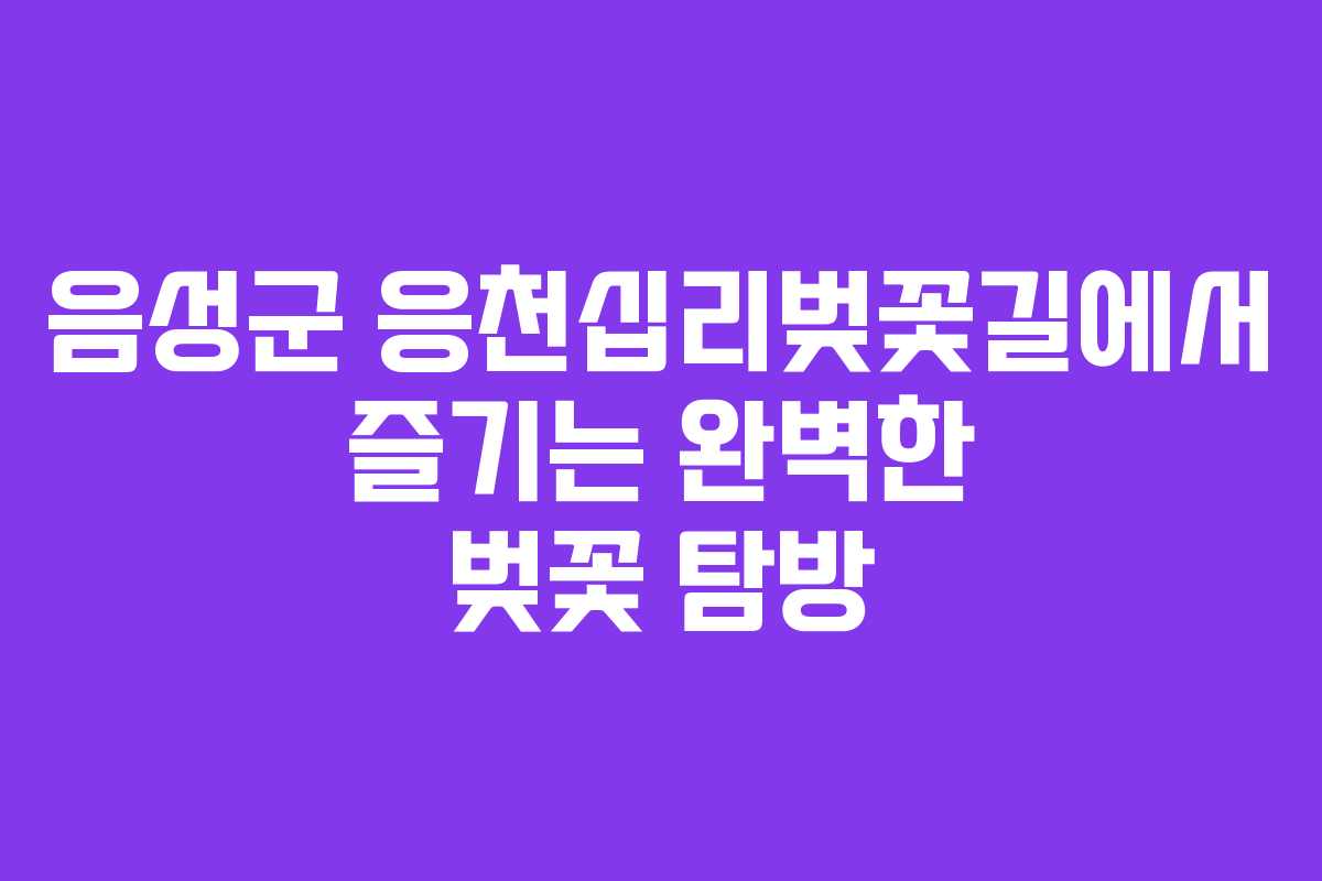 음성군 응천십리벚꽃길에서 즐기는 완벽한 벚꽃 탐방