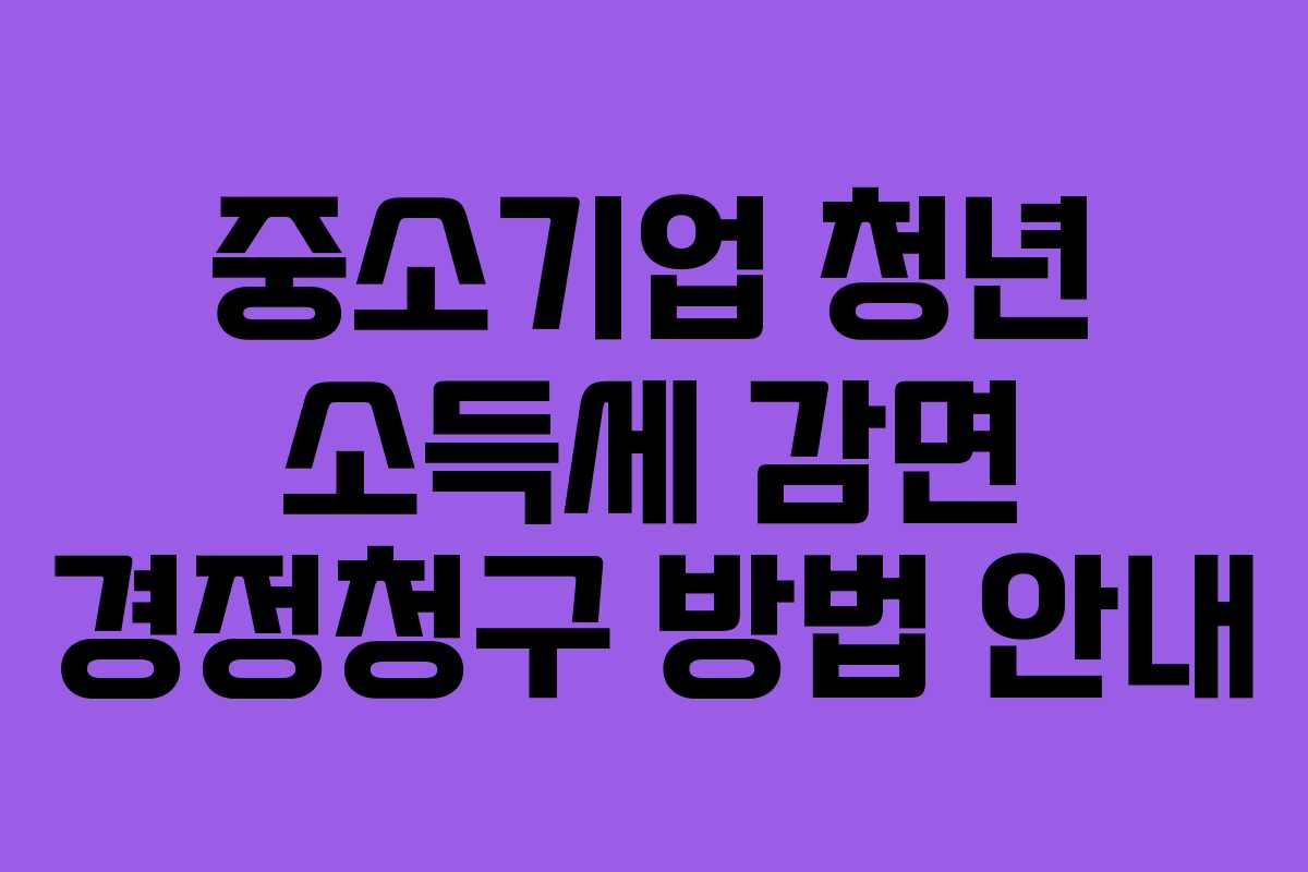 중소기업 청년 소득세 감면 경정청구 방법 안내