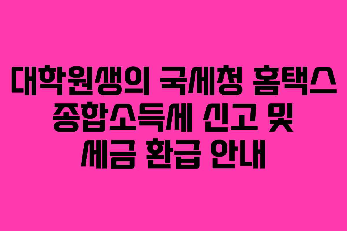 대학원생의 국세청 홈택스 종합소득세 신고 및 세금 환급 안내