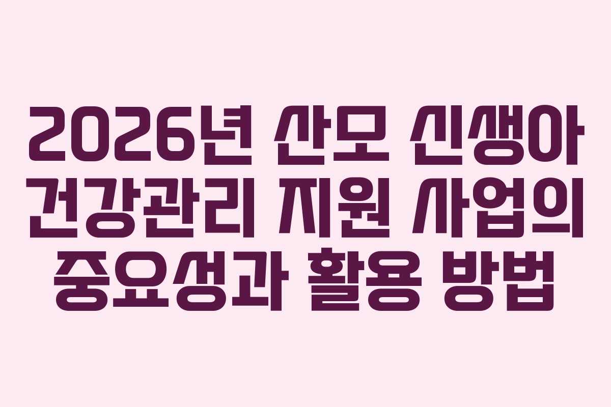 2026년 산모 신생아 건강관리 지원 사업의 중요성과 활용 방법