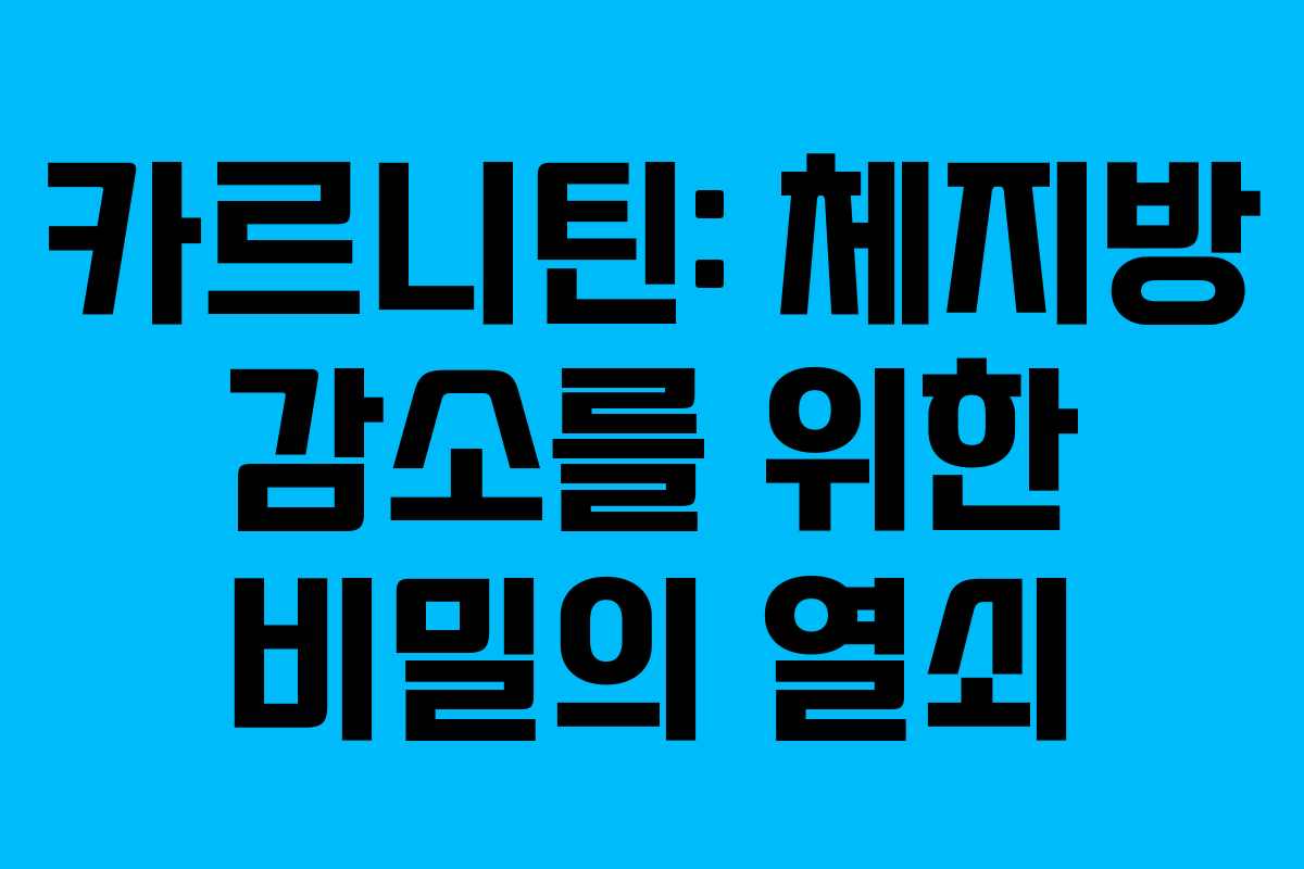 카르니틴: 체지방 감소를 위한 비밀의 열쇠