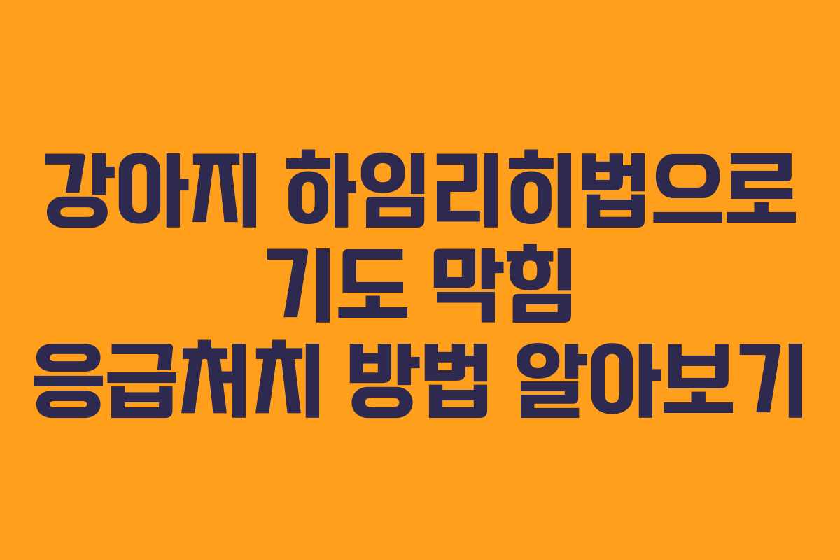 강아지 하임리히법으로 기도 막힘 응급처치 방법 알아보기