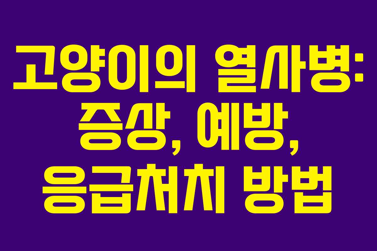 고양이의 열사병: 증상, 예방, 응급처치 방법