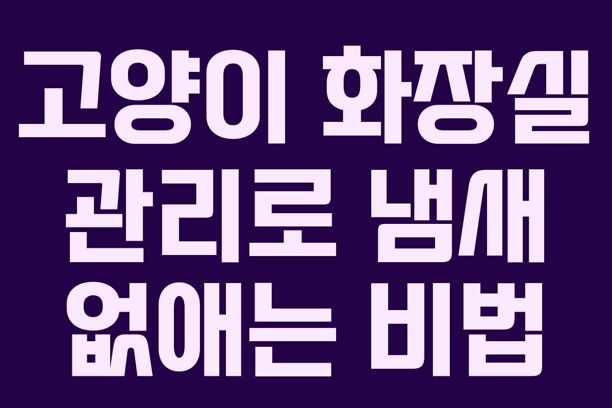 고양이 화장실 관리로 냄새 없애는 비법