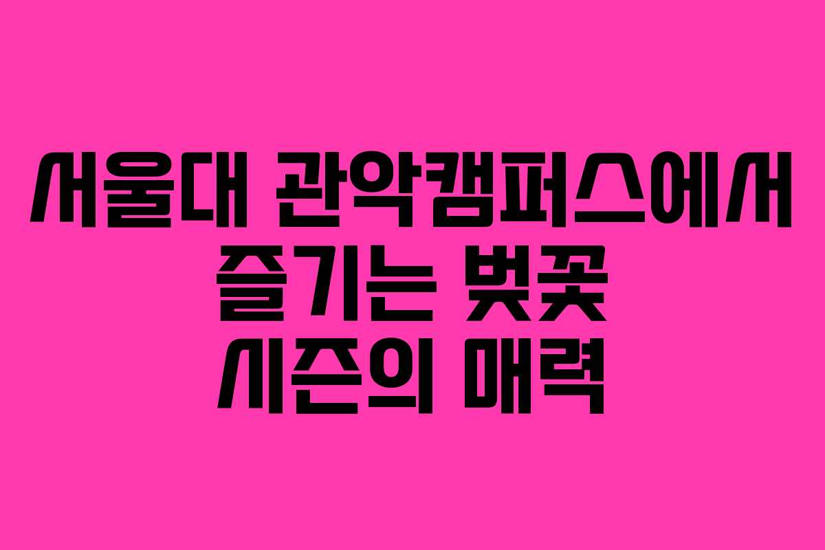 서울대 관악캠퍼스에서 즐기는 벚꽃 시즌의 매력